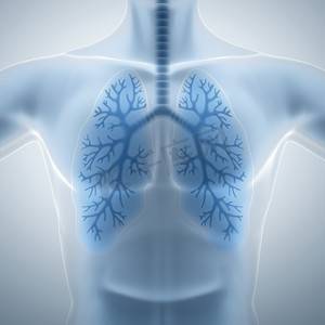 清洁健康的肺部
