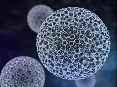 人乳头瘤病毒(hpv)是一种来自乳头瘤病毒家族的dna病毒,能够感染人类.