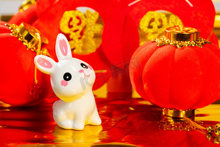 新年兔年白天红灯笼白兔室内新春摄影图配图