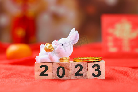 2023年年会摄影照片_新年春节兔年数字2023兔子摄影图配图