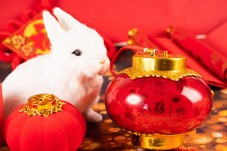 新年兔年白兔白兔室内红灯笼摄影图配图