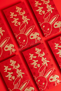 兔年新年兔子摄影照片_兔年新年春节2023红包摄影图配图