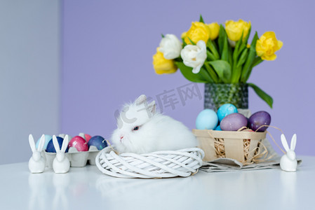 画上花摄影照片_可爱的毛茸茸的兔子在桌子上画鸡蛋与复活节装饰