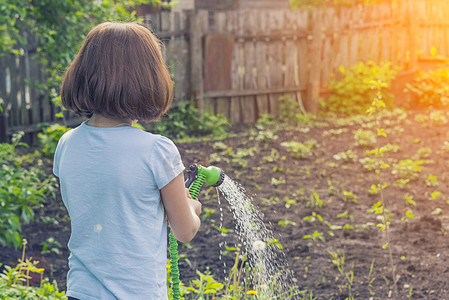花园音乐摄影照片_穿蓝色 t恤的女孩, 在阳光明媚的天气里用绿色软管浇灌花园。