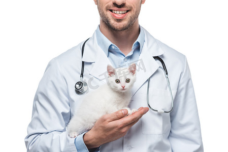 白色背景小猫的男性兽医裁剪图像