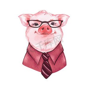 商务卡通背景摄影照片_穿衬衫和领带的猪的波特