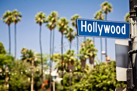 棕榈树页摄影照片_好莱坞标志在 la