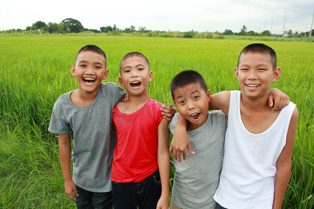四个男孩在稻田 