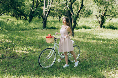 漂亮的年轻女子穿着复古的自行车与柳条篮满是成熟的苹果在农村