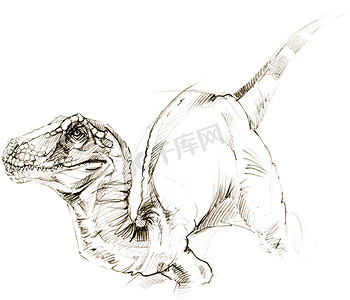 恐龙。恐龙绘图铅笔素描
