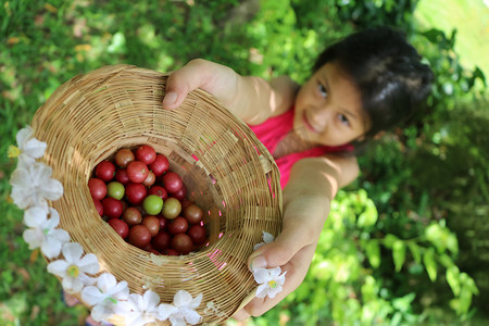 农业女孩摄影照片_收获了可爱的亚洲女孩在花园里的水果.
