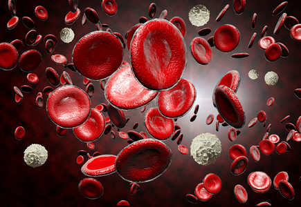 红血球和白血球