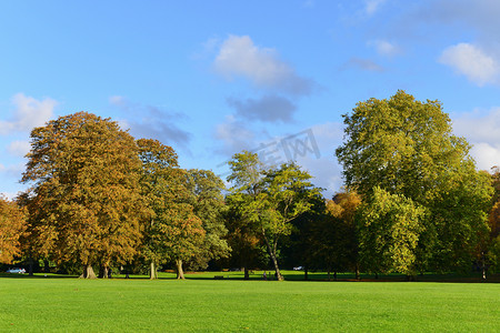 草坪和树木在公园