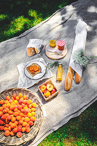 在米色格子上野餐的食物分类。盘子配杏子, 小罐子配果酱, 各种面包, 果汁。舒适的夏季早餐.