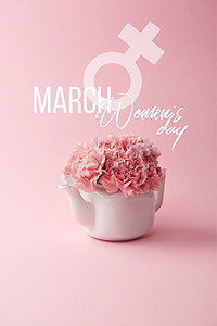粉红色康乃馨花在白色茶壶粉红色的背景与妇女的日常字母