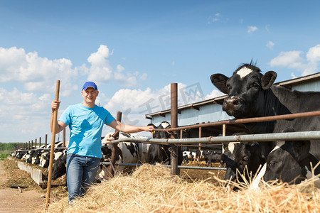牛郎织女会鹊桥摄影照片_在奶牛的农场上工作的人农民