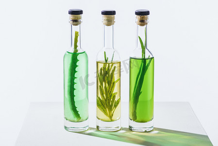 透明瓶的基本绿色和黄色的油与植物在白色表面