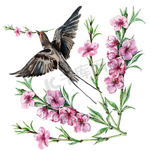 鸟燕子和花桃，水彩，模式
