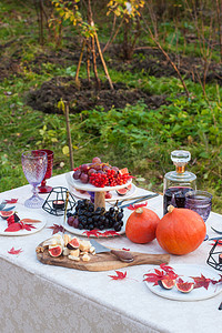 南瓜花摄影照片_户外的餐桌装饰着奶酪盘、南瓜、葡萄、无花果、燃烧的蜡烛、彩色眼镜、酒瓶和秋天的红枫叶.