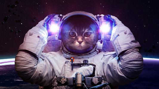 流星壁纸摄影照片_在外层空间只漂亮的猫。这幅图像由美国国家航空航天局提供的元素.