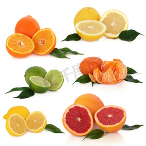 柚水果摄影照片_柑橘类水果集合