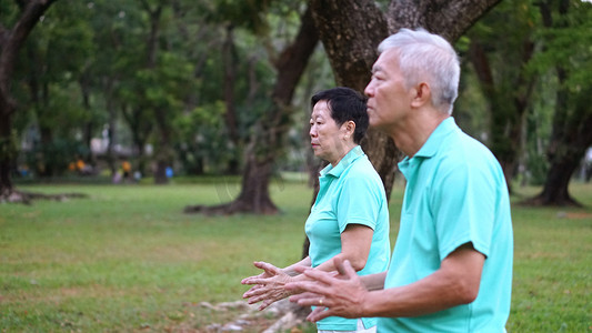浓度摄影照片_亚洲高级老年夫妇练习太极，气功锻炼 ou
