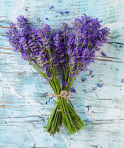 植物花朵干花摄影照片_淡紫色小花
