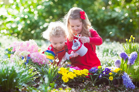 雪摄影照片_孩子们在盛开的花园里种花