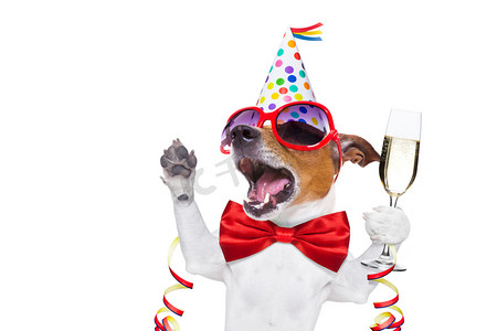 新年会议背景摄影照片_祝你生日快乐的狗