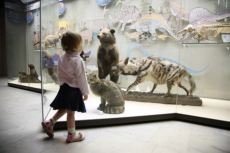 自然博物馆的小女孩