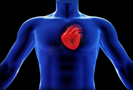 人的心脏 x 射线概念