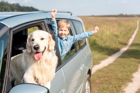 快乐的小家伙骑着车, 他的金猎犬狗在野外