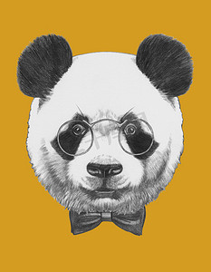 戴着眼镜，领结熊猫