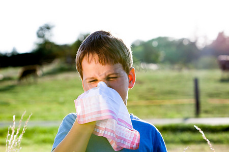 虽然你在擤鼻子一块白手帕在自然中的花粉过敏的孩子