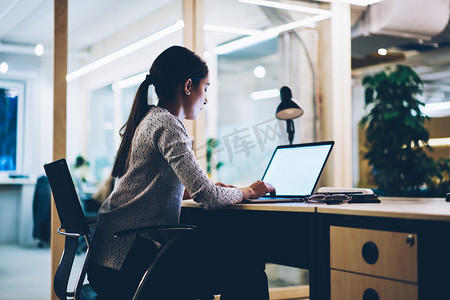 女性工作狂的后视图在办公室加班完成报告, 女雇员晚上坐在桌面上, 使用笔记本电脑和空白屏幕搜索信息
