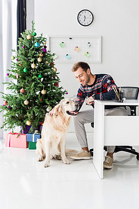 圣诞毛衣摄影照片_男子穿着圣诞毛衣坐在椅子上抚摸金色猎犬狗 