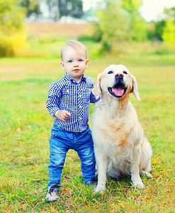 小男孩和金毛狗在公园的草地上