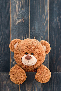可爱的泰迪熊