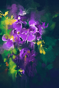 在黑暗的背景中紫色美丽的鲜花