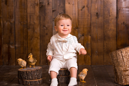 穿着白色西装的金发小男孩, 穿着白色袜子, 坐在木制背景上的木椅上。旁边的一只小鸭
