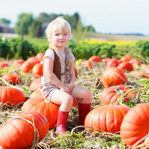 万圣节院子摄影照片_Funny little kid at the pumpkin field
