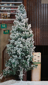 节日圣诞节平安夜圣诞树下雪天雪景摄影图配图