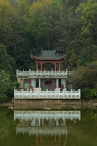 绿色古风图摄影照片_岳麓山森林楼阁湖面安静摄影图配图