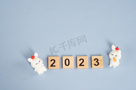 新年白兔室内2023年摄影图配图