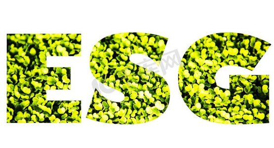 绿色背景的ESG理念环境社会治理