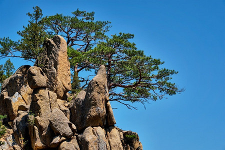 韩国雪岳山国家公园 towangpok 观景台的松树和岩石悬崖.
