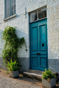 布鲁日门与植物和窗口的一个古老的欧洲房子。比利时布鲁日。比利时布鲁日的布鲁日住宅入口