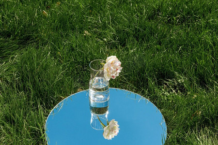 自然概念—牡丹花在玻璃花瓶和天空反射在圆镜子在夏天的田野。牡丹花在玻璃和天空反射在镜子