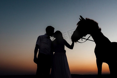 一个新娘的剪影在白色礼服和一个新郎在白色衬衫散步与棕色马