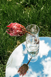 大自然的概念--花瓶里的洋蓟花，圆镜里的天空映照着夏日的田野。朝鲜蓟花和镜中的天空倒影